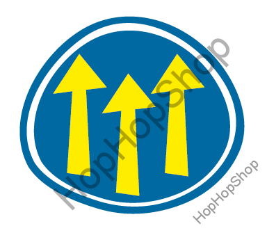 Befado Blanca 119X064, dívčí, bačkorky, šedé, kytičky